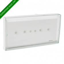 Legrand - BAES d'ambiance saillie IP43 IK07 plastique ECO1 SATI AutoDiag pour ERP et ERT - Réf : 062565