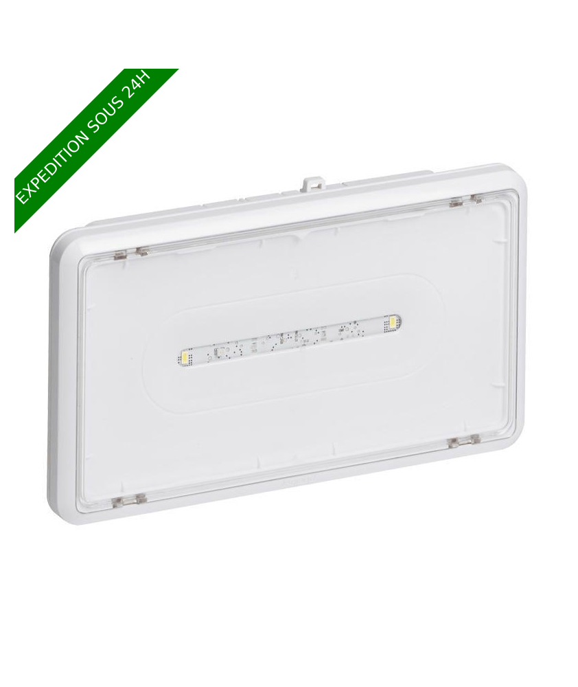 BAEH saillie à LEDs 8lm 5h IP43 IK07 plastique SATI Connecté pour bâtiments d'habitation (062550)