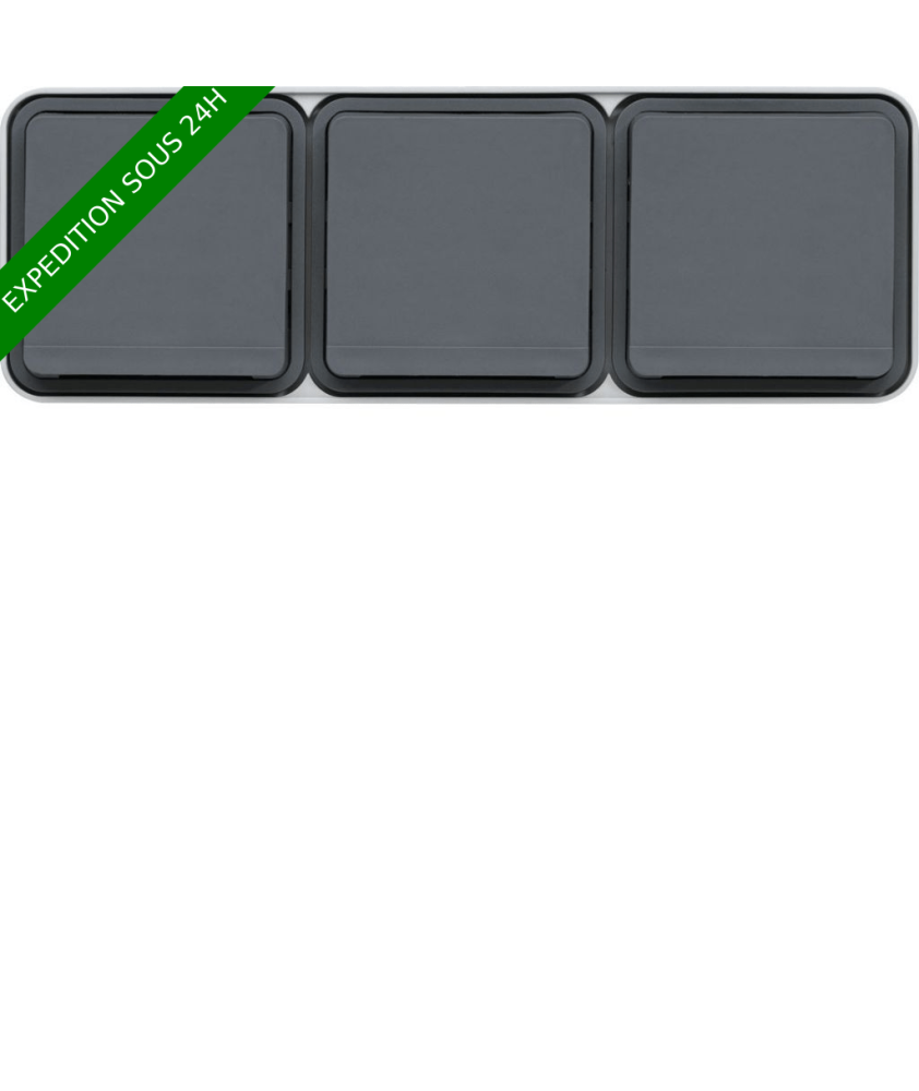 HAGER cubyko Prise triple horizontale 2P+T saillie gris IP55 (WNC123)