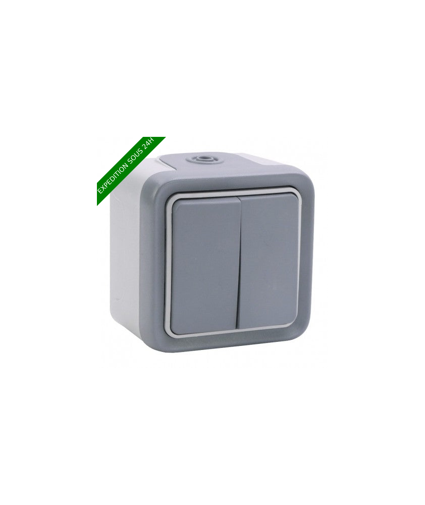 Legrand - Double interrupteur ou va-et-vient Plexo complet IP55 saillie 10AX 250V - gris - Réf : 069715