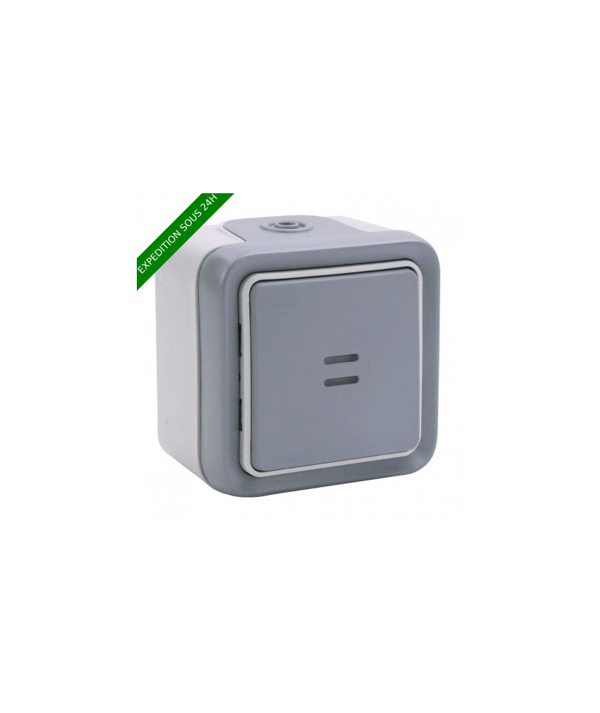 Legrand - Interrupteur ou va-et-vient lumineux Plexo complet IP55 saillie 10AX 250V - gris - Réf : 069713